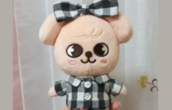 De qual membro é esse skzoo?