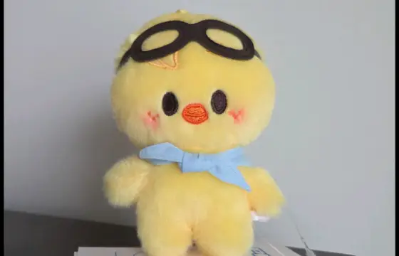 De qual membro é esse skzoo?