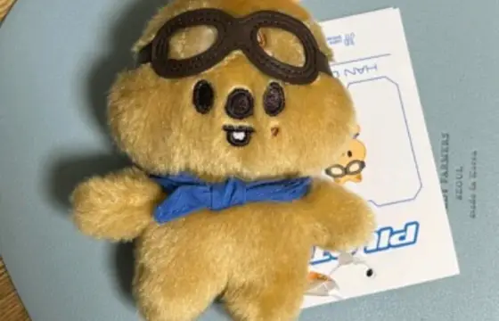 Esse skzoo é de qual membro?