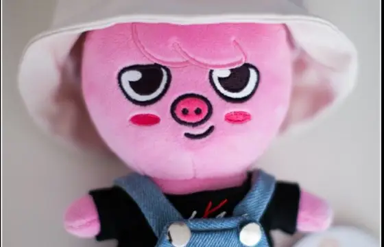 De qual membro é esse skzoo?