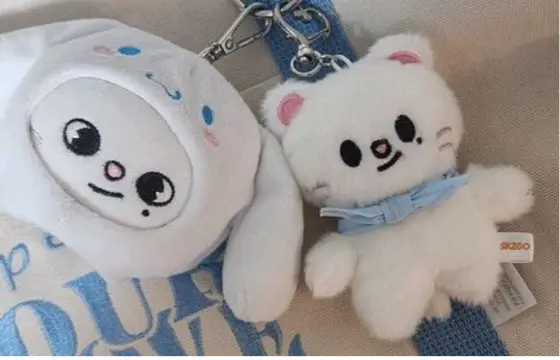 Esse skzoo é de qual membro?