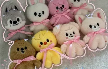 Adivinhe o membro do skz pelo skzoo