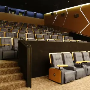 Cinema