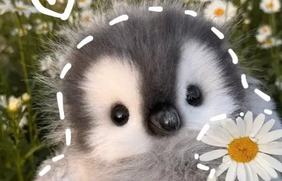 Qual destas características mais combina com você?