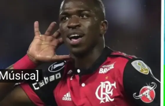 Que ano estreou no Flamengo?