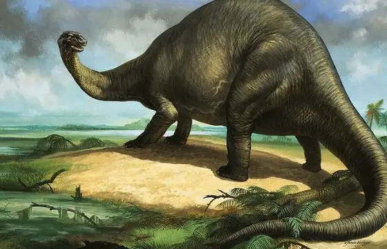 Apatossauro
