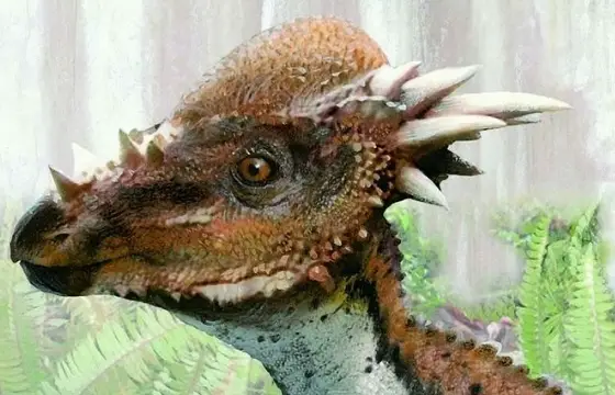 Paquicefalossauro