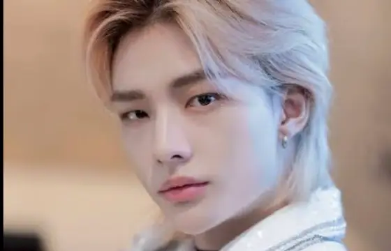 Hyunjin ( stray kids )