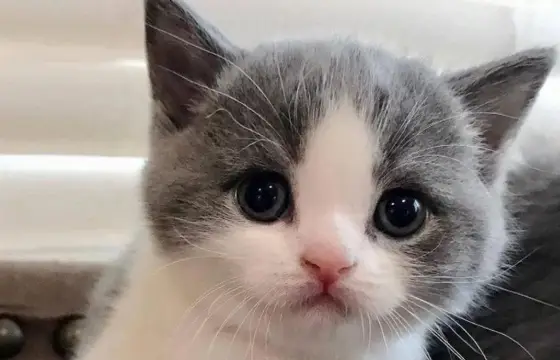 Parabéns lindo!!