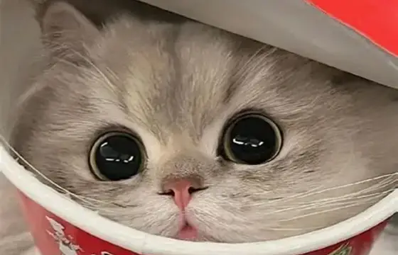 Parabéns que lindo!!!