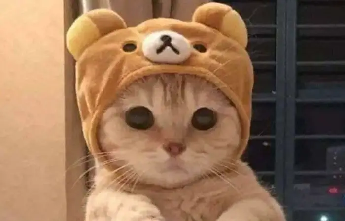 Monta o teu quarto de sonho!!