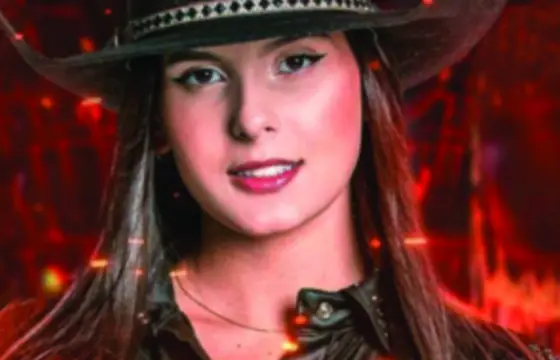 Quantas músicas já foram gravadas da Ana Castela  ?