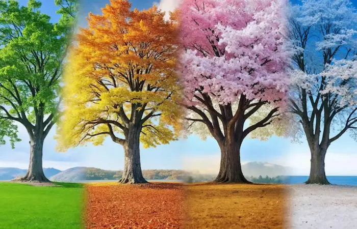 Com que estação do ano tu mais combinas?