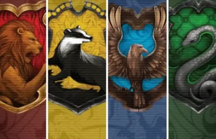 Que casa você entraria em Harry Potter?