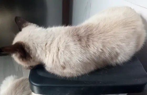Tom!