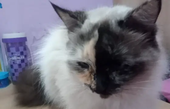Mel!