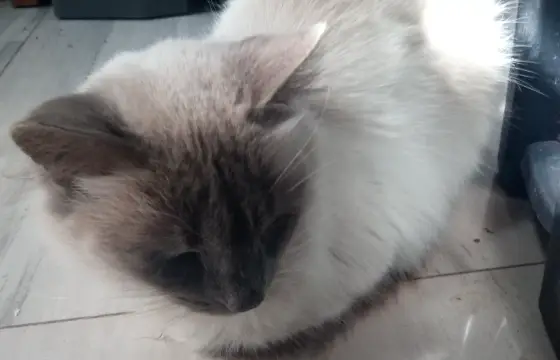 Milo!
