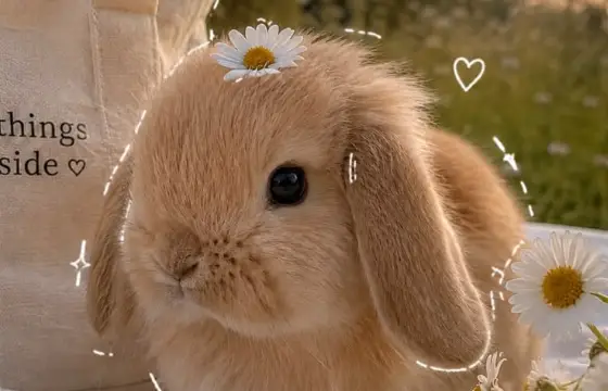 Seu crush terminou com a namorada o que você vai fazer?
