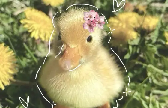 Você percebe que quem jogou a bola sem querer em você foi o seu crush, ele está vindo em sua direção e perguntou se está tudo bem o que você faz ?