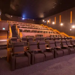 Cinema
